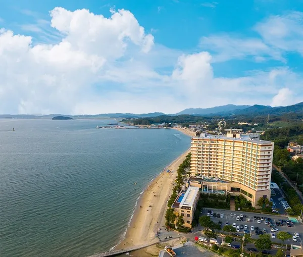 보령 비체팰리스 객실 1박 치맥세트 갯벌체험