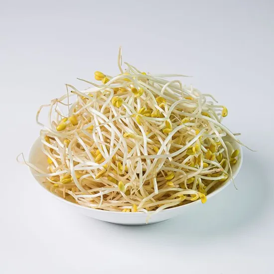 아삭아삭 콩나물 1kg