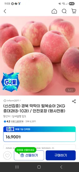 경북 딱딱이 털복숭아 2kg 중대과 8-10과