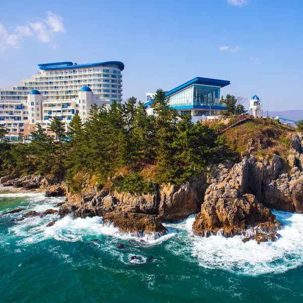 쏠비치삼척 객실 1박 조식 4인 오션 4인 269000원