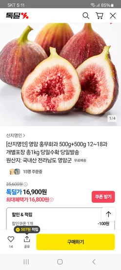 영암 홍무화과 1kg 12-16과