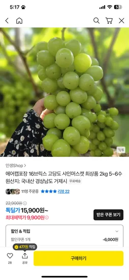 샤인머스캣 2kg 5~6수