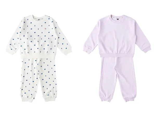 블루독 트레이닝 상하세트