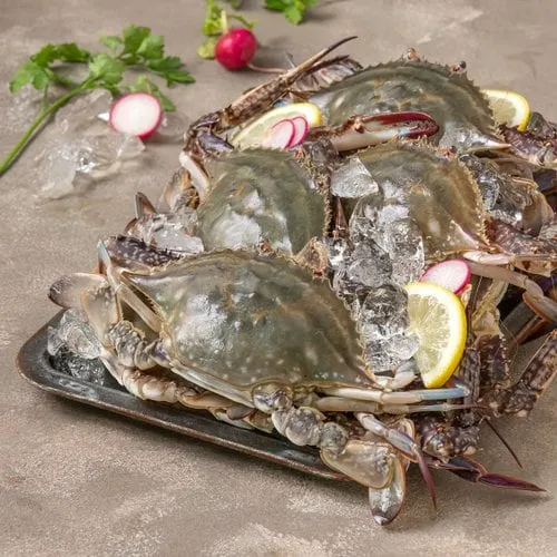 쓱이마트몰 가을제철 서해 햇꽃게 3kg