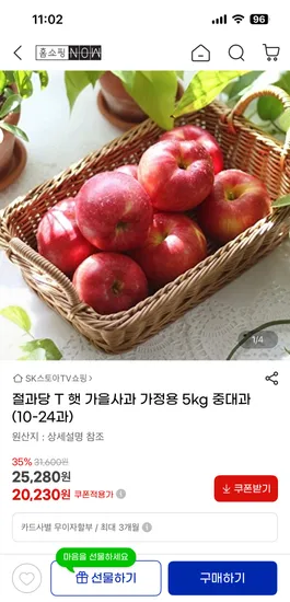 햇 가을사과 가정용 5kg 중대과 10-24과