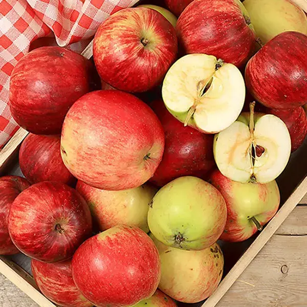 한입 루비에스 미니사과 1kg