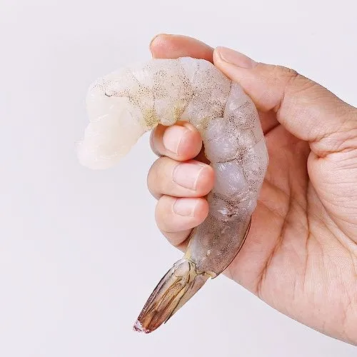 손질 생칵테일 새우 소 900g