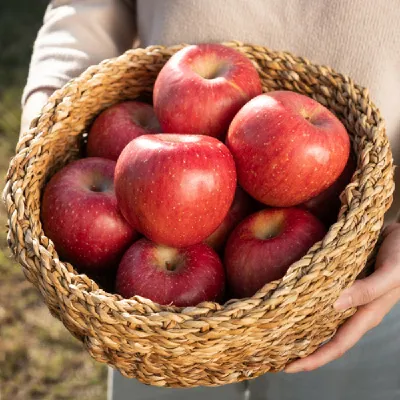 GAP인증 홍로 사과 못난이 2kg