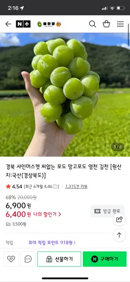 샤인머스켓 1kg 2수