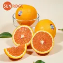 카라카라 오렌지 중대과 7kg 24,560원