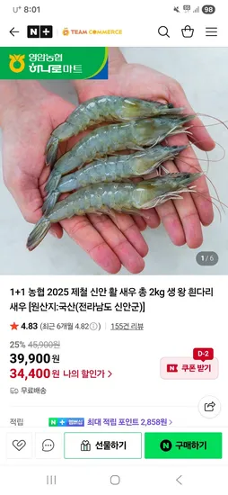 팀커머스 농협 25년 신안 활 새우 2kg