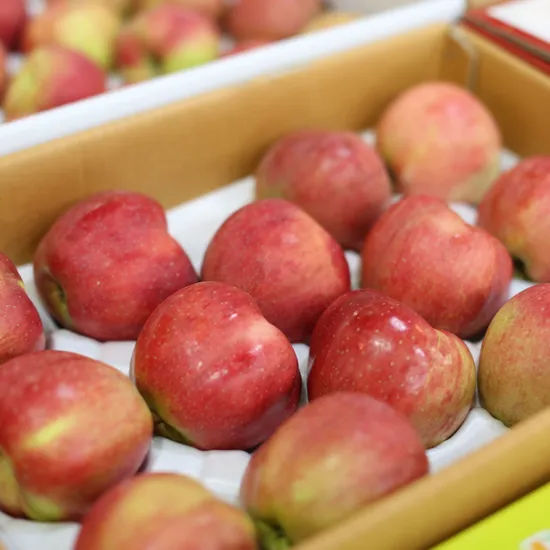 경북 첫수확 홍로사과 2kg 꼬마한입과 13-18과