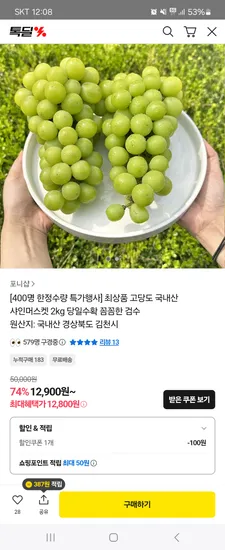 샤인머스켓 2kg 5-6수