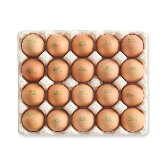 토스 난각번호1번 유정란 20구