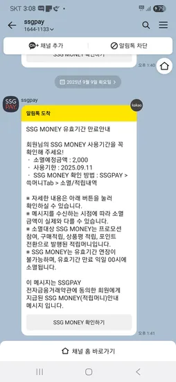 SSGPAY 머니 2,000점