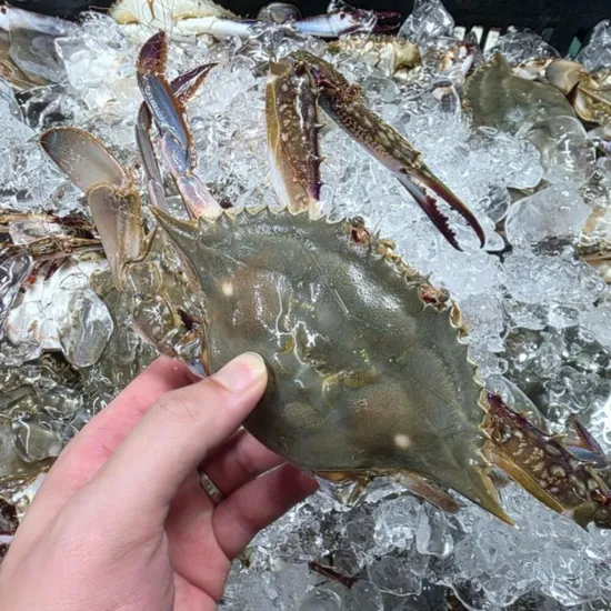 자연산 활 꽃게 1kg (2~5미)