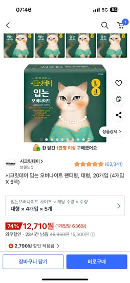 시크릿데이 입오버 대형 4개입 5팩