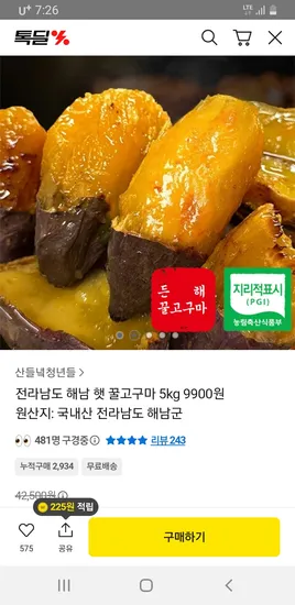 해남 햇 꿀고구마 5kg