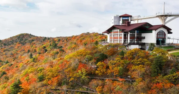 모나 용평 가을여행 3/4인 패키지 89,000원~