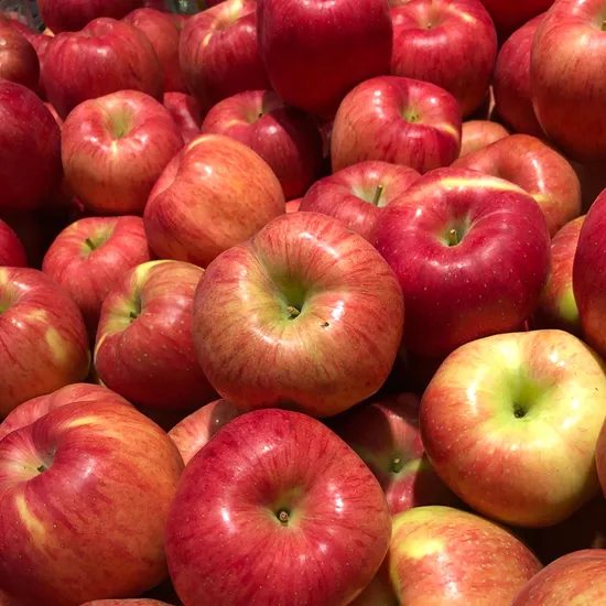 홍로사과 한입사과 2kg