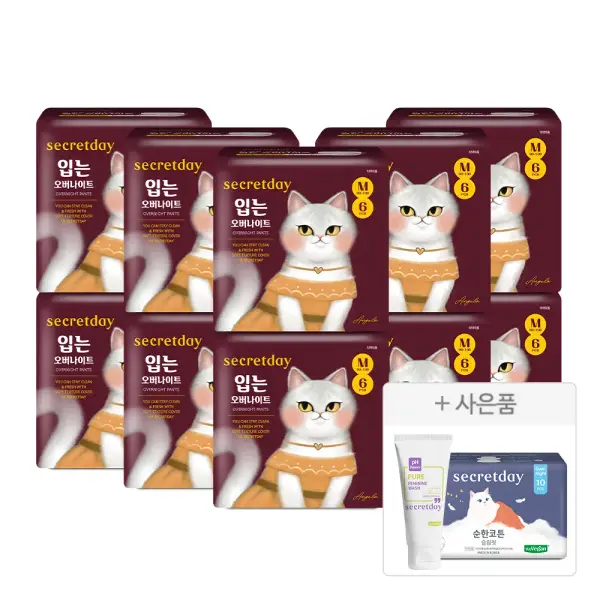 시크릿데이 생리대 입오버 60장