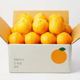 깨비농원 고당도 황금향 2kg 소과