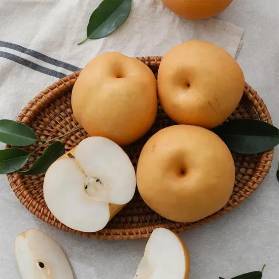 나주배 가정용 5kg