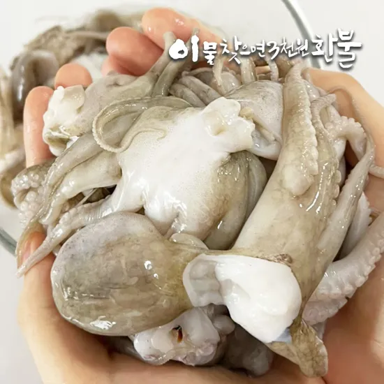 손질 특대 통주꾸미 1.5kg (250g×6팩)