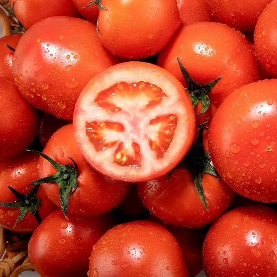 국내산 완숙토마토 1.5kg 중대과