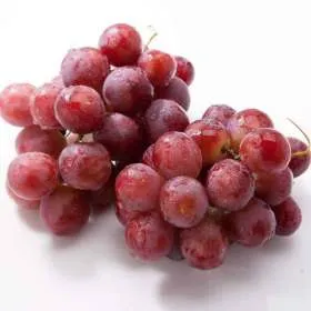 레드 샤인 써니돌체 2kg 3-5수