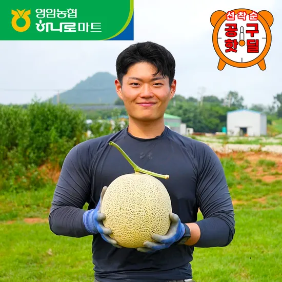 팀커머스 농협 머스크 멜론 2kg 이상 대과 x 2수 총 4kg 이상