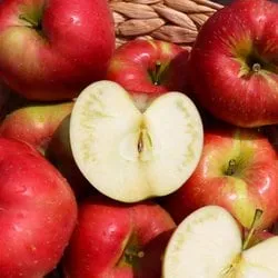 햇사과 홍로사과 2.5kg 8-10과