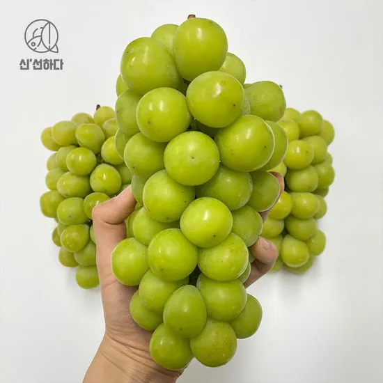 샤인머스캣 2kg내외 3-4수