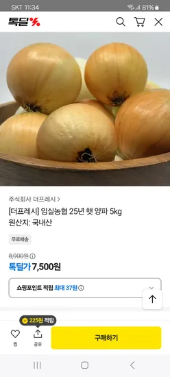 임실농협 햇 양파 5kg