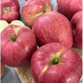 홍로 사과 소꼬마과 2kg