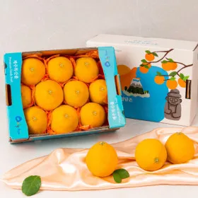 과즙팡팡 달콤한 제주 황금향 2kg (6-12과) 20,610