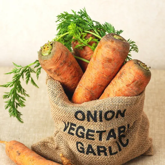 제철 흙당근 5kg 중사이즈