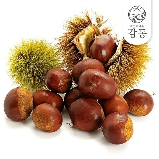 부여 햇 밤 대크기 1kg