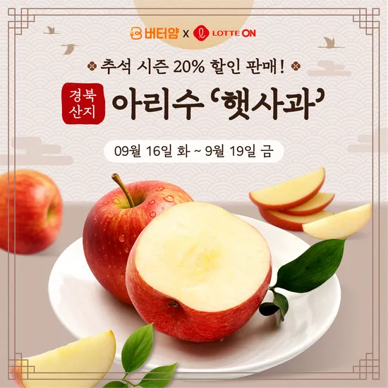 경북 햇사과 아리수 2.5kg 13과 중소과