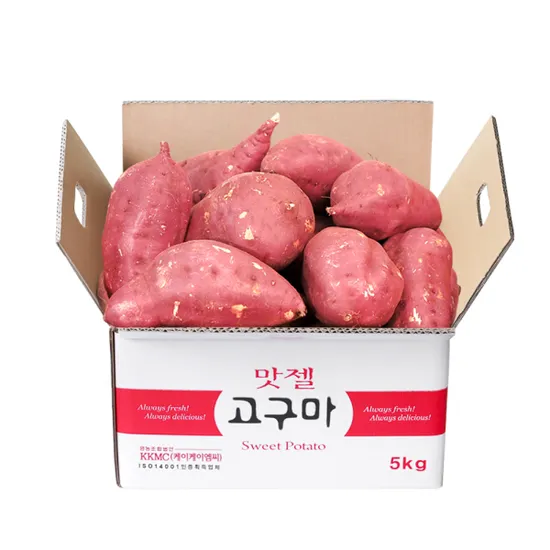 25년 수확 햇 단밤고구마 대자 5kg
