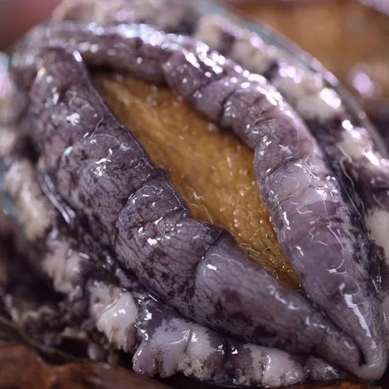 완도 활 전복 특대복 8-9미 1kg