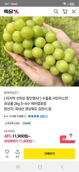 샤인머스켓 2kg (5~6수)