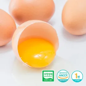 무항생제 난각번호 1번 계란