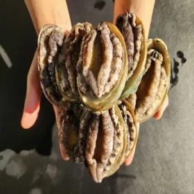 완도산 대왕 전복 1kg 9-10미