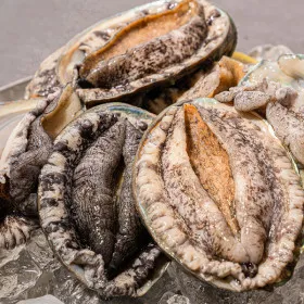 완도 활 특대전복 1kg (8-9미)