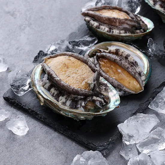 완도 활전복 1kg