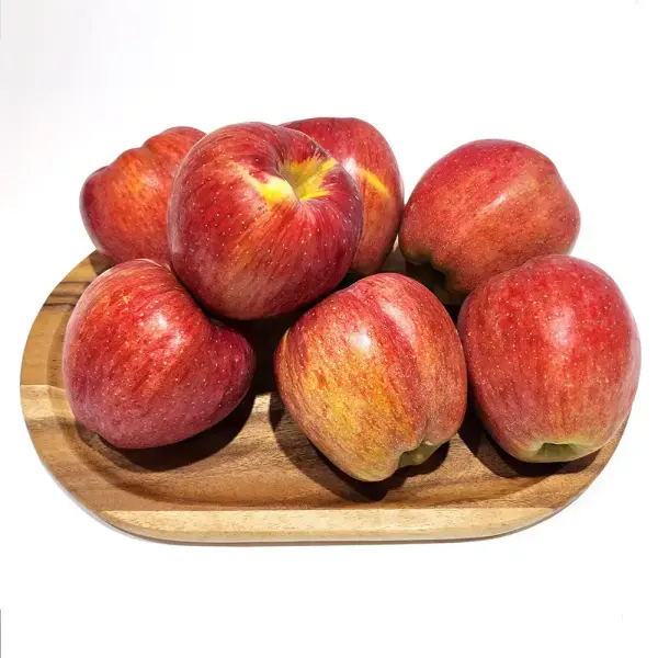 청송 홍로사과 중과 8-10과