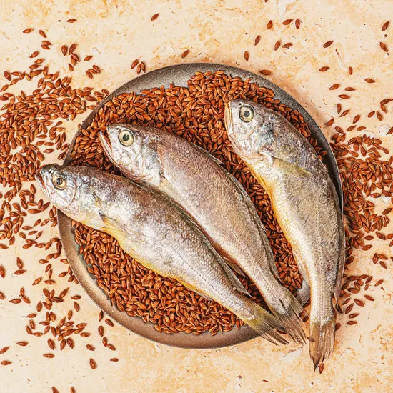 영광 법성포 굴비 20미 국내산