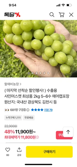 수출용 샤인머스켓 최상품 2kg