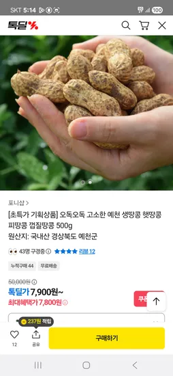 예천 햇땅콩 피땅콩 500g